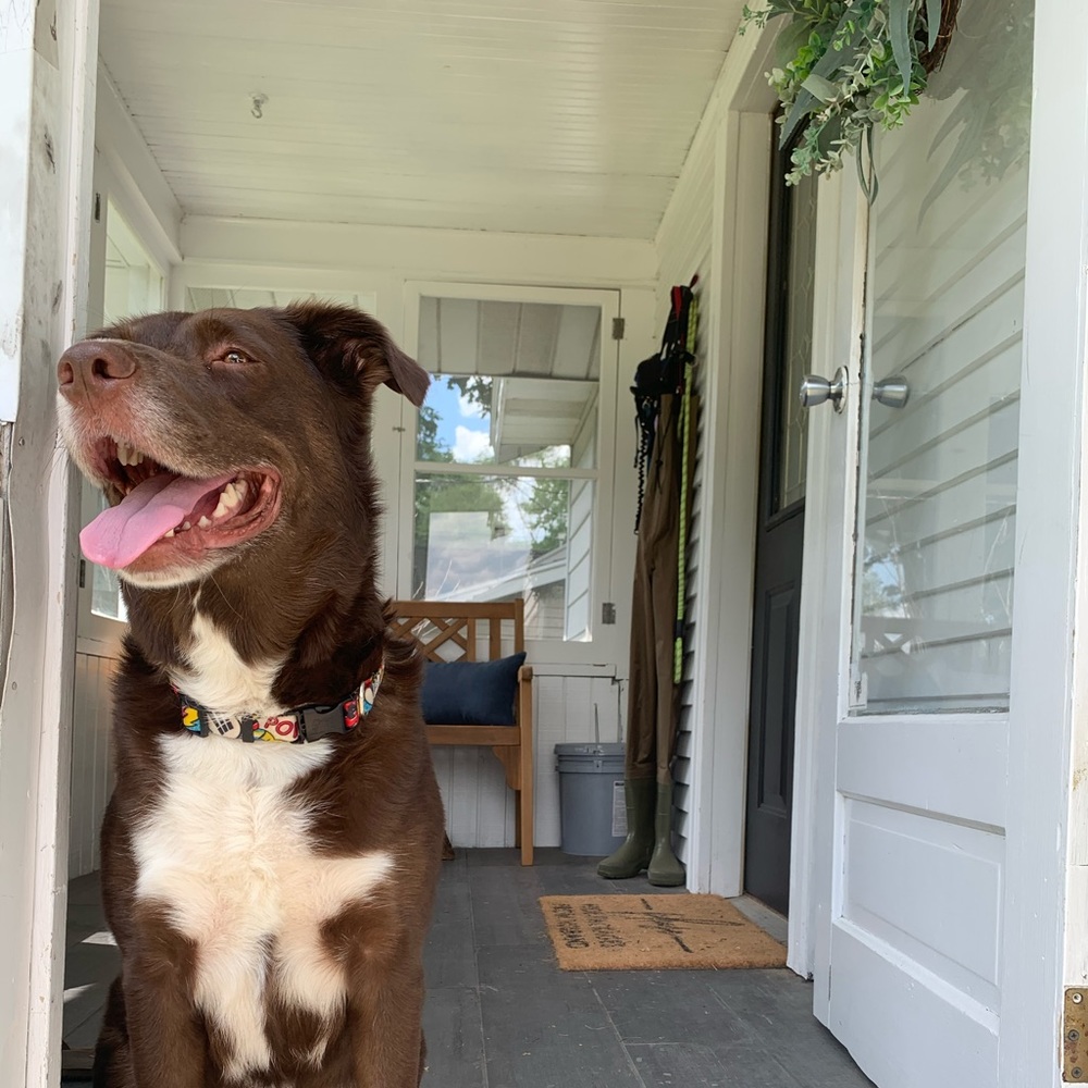 Meet your Posher, Kaela